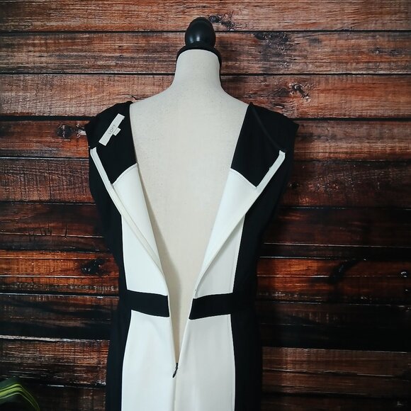 Ann Taylor LOFT Dress Size 10 Sheath Ponte Black White Color Block Zip Back - Picture 5 of 8
